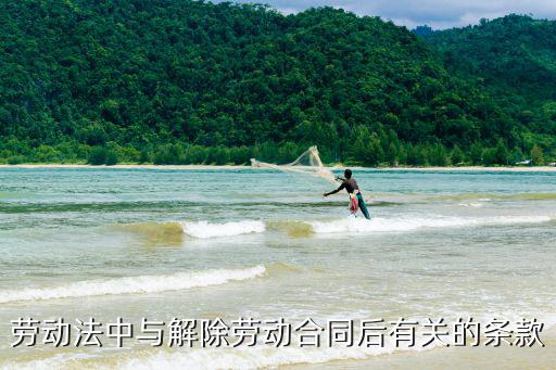 勞動法中與解除勞動合同后有關(guān)的條款