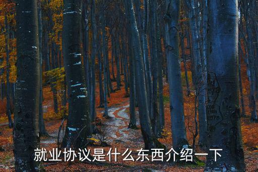 就業(yè)協(xié)議是什么東西介紹一下