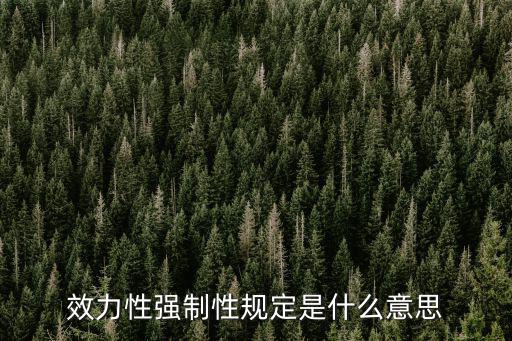 效力性強(qiáng)制性規(guī)定是什么意思