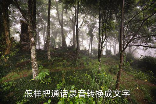 在線語音轉(zhuǎn)文字，怎么將語音轉(zhuǎn)為文字