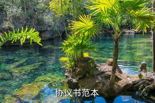 法律服務(wù)協(xié)議模板圖片，法律務(wù)服合同