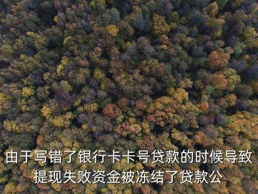 貸款卡號(hào)輸錯(cuò)資金凍結(jié)怎么辦，我在網(wǎng)貸的時(shí)候銀行卡號(hào)碼寫(xiě)錯(cuò)了資金被凍結(jié)了他們讓我出20