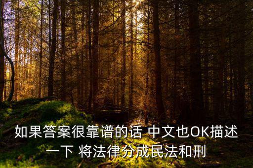 如果答案很靠譜的話 中文也OK描述一下 將法律分成民法和刑