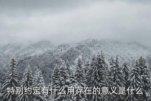 特別約定有什么用存在的意義是什么