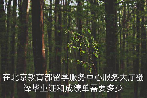 在北京教育部留學服務中心服務大廳翻譯畢業(yè)證和成績單需要多少