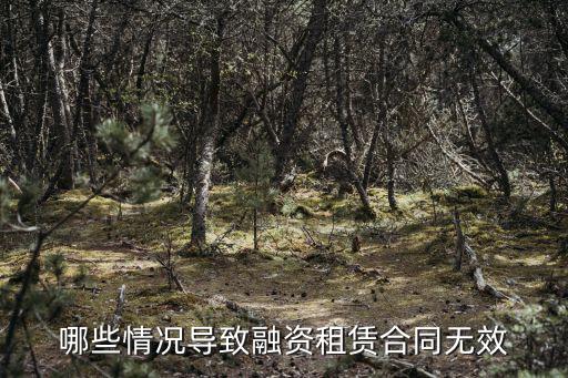 哪些情況導(dǎo)致融資租賃合同無(wú)效