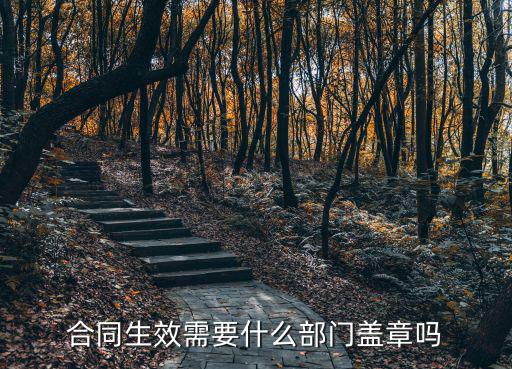 合同生效需要什么部門蓋章嗎
