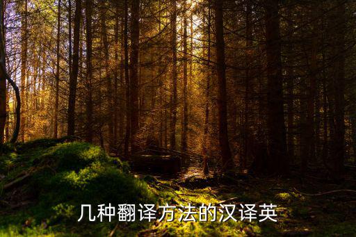 英語翻譯方法有幾種，英語翻譯法中有直譯意譯還有啥方法