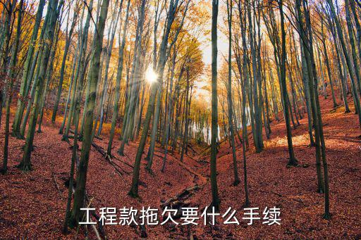 工程款拖欠要什么手續(xù)