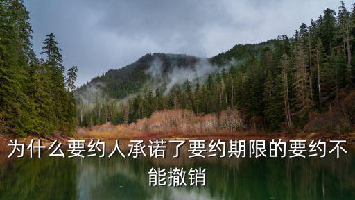 英美法為什么不能撤回承諾，為什么規(guī)定要約人確定了承諾期限的邀約不得撤銷謝謝了  搜
