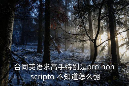 蘋果合同英文版，iPad迷你4系統(tǒng)更新iOS1121時(shí)出來(lái)一個(gè)一部分全英文協(xié)議想問(wèn)下這