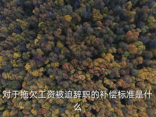 對(duì)于拖欠工資被迫辭職的補(bǔ)償標(biāo)準(zhǔn)是什么
