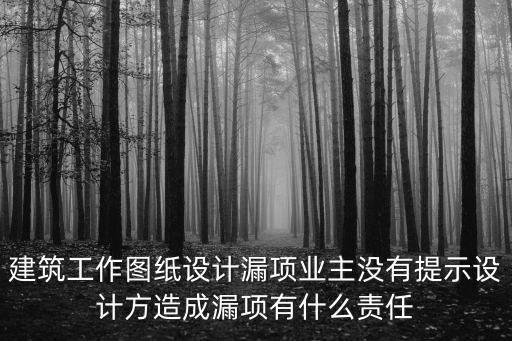 建筑工作圖紙?jiān)O(shè)計(jì)漏項(xiàng)業(yè)主沒有提示設(shè)計(jì)方造成漏項(xiàng)有什么責(zé)任