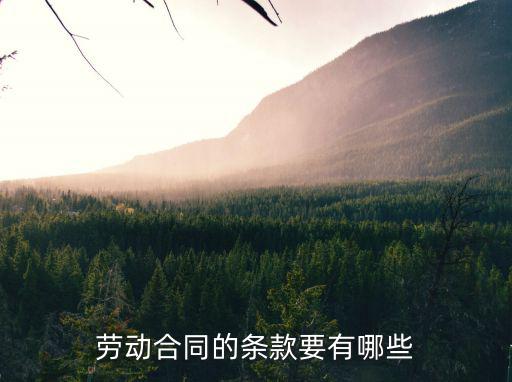 簽訂勞動合同的法律條款，勞動法規(guī)定勞動合同應(yīng)具備哪些條款