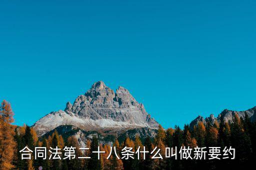 合同法第二十八條什么叫做新要約