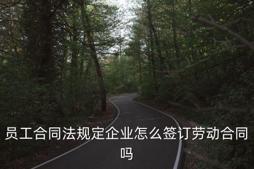 員工合同法規(guī)定企業(yè)怎么簽訂勞動(dòng)合同嗎