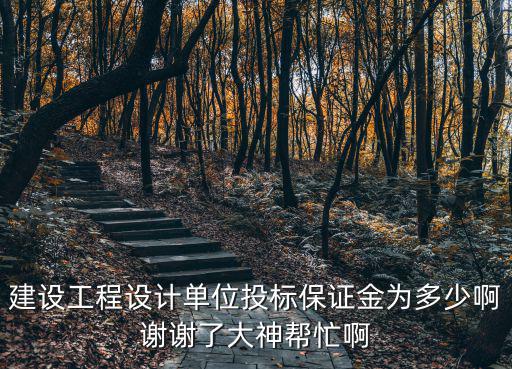 建設(shè)工程設(shè)計(jì)單位投標(biāo)保證金為多少啊謝謝了大神幫忙啊