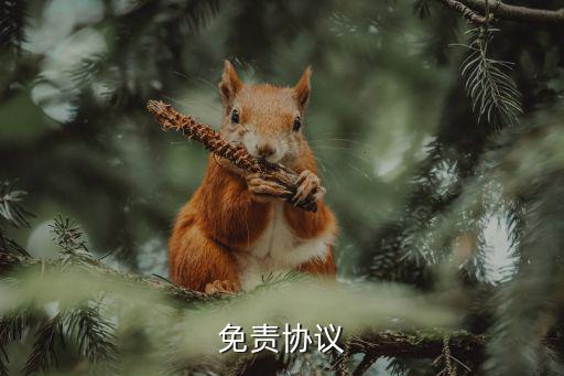 三方免責協(xié)議書范本，你好我想了解下作為第三方代銷洗手液的免責聲明該如何擬寫就是