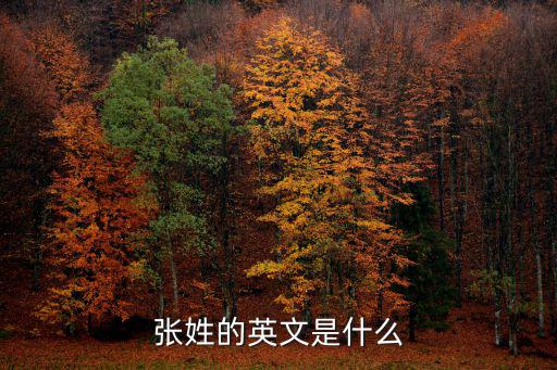 張姓的英文是什么