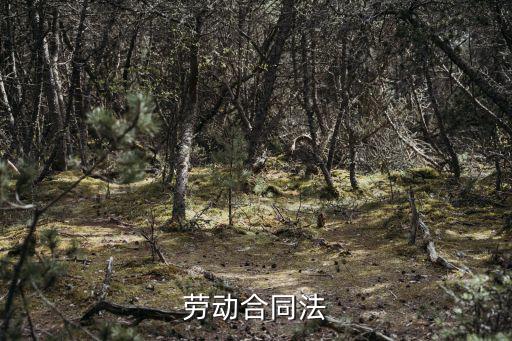 勞動(dòng)合同法