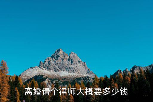 離婚請個(gè)律師大概要多少錢