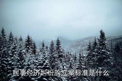 民事經(jīng)濟(jì)糾紛的立案標(biāo)準(zhǔn)是什么