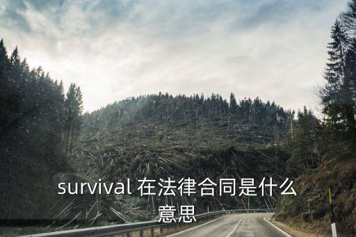 條款 英文，條款的英文簡寫 或大家都是怎么寫的