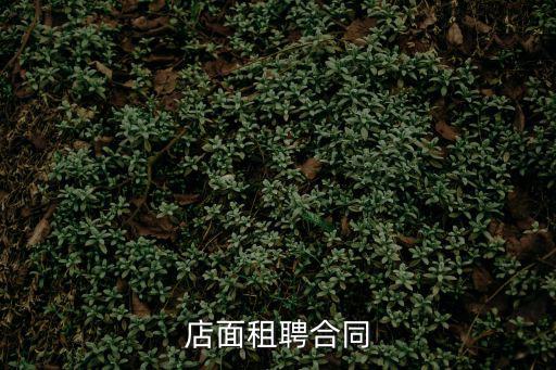 店面租聘合同
