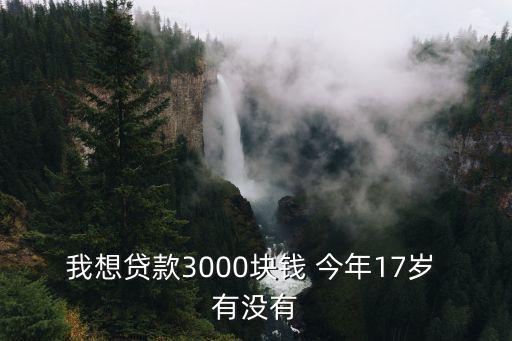我想貸款3000塊錢 今年17歲 有沒有