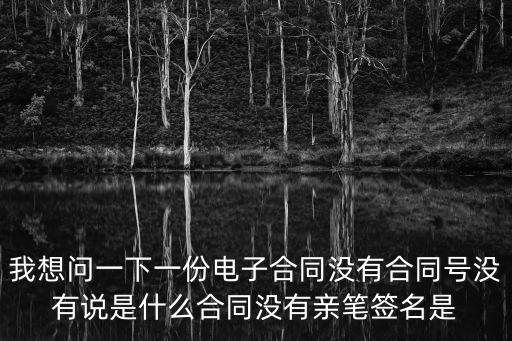 我想問一下一份電子合同沒有合同號(hào)沒有說是什么合同沒有親筆簽名是