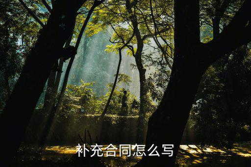 增補合同應該怎么寫，簽好的合同需要增補條款怎么做