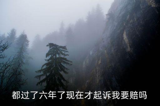 都過(guò)了六年了現(xiàn)在才起訴我要賠嗎