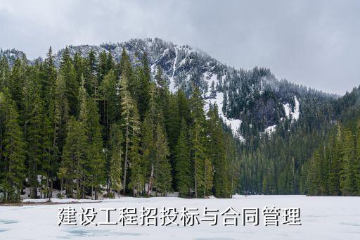 建設(shè)工程招投標(biāo)與合同管理