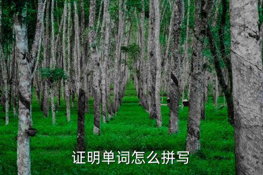 證明單詞怎么拼寫(xiě)
