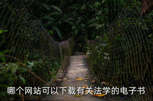 中國法律電子書下載，哪里有法律的電子書下載啊