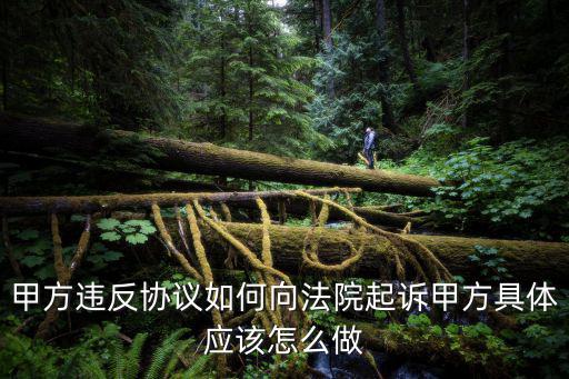 違反合同法怎么起訴，甲方違反協(xié)議如何向法院起訴甲方具體應該怎么做