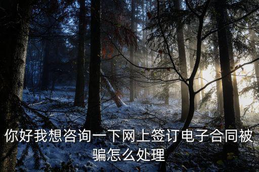 你好我想咨詢一下網(wǎng)上簽訂電子合同被騙怎么處理