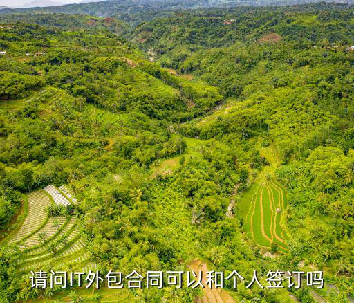請(qǐng)問(wèn)IT外包合同可以和個(gè)人簽訂嗎