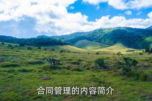 合同管理的內(nèi)容簡(jiǎn)介