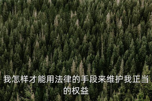 我怎樣才能用法律的手段來維護我正當?shù)臋?quán)益