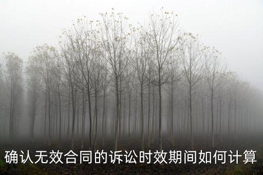 確認無效合同的訴訟時效期間如何計算
