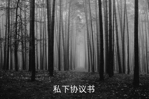 私下協(xié)議書