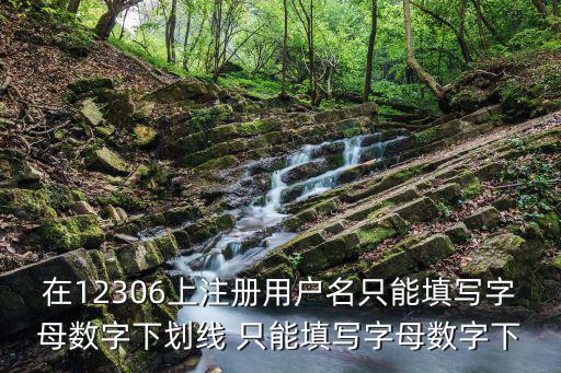 在12306上注冊(cè)用戶名只能填寫(xiě)字母數(shù)字下劃線 只能填寫(xiě)字母數(shù)字下