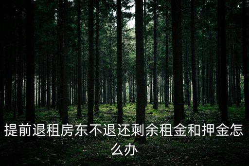 提前退租房東不退押金怎么辦，租房提前退房房東不退押金怎么辦