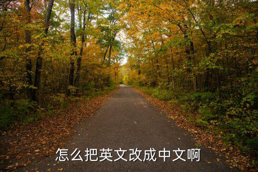英文轉換成中文，英文變成中文