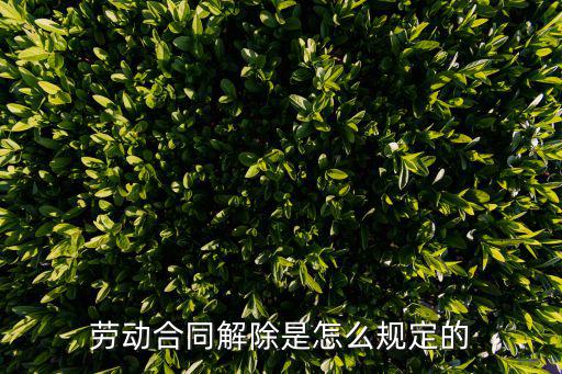 勞動(dòng)合同解除是怎么規(guī)定的