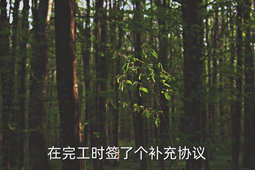 在完工時(shí)簽了個(gè)補(bǔ)充協(xié)議