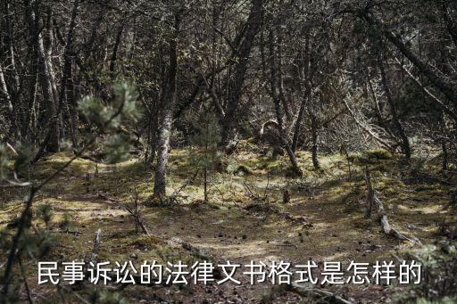 民事訴訟的法律文書格式是怎樣的