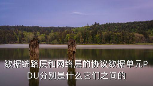 數(shù)據(jù)鏈路層和網(wǎng)絡(luò)層的協(xié)議數(shù)據(jù)單元PDU分別是什么它們之間的