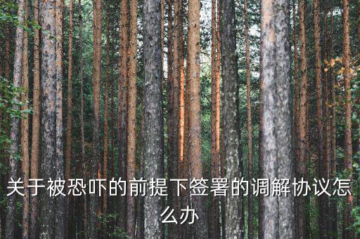 關(guān)于被恐嚇的前提下簽署的調(diào)解協(xié)議怎么辦